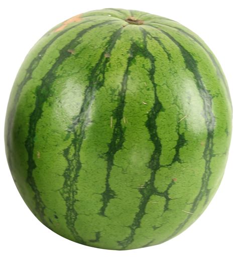 watermelon png image purepng  transparent cc png image library