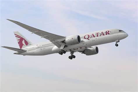 qatar airways economy review la  doha   sand   suitcase qatar airways
