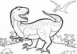 Trex Tyrannosaurus Tarbosaurus Theropod Dinosaurs Coloriage Coloring sketch template