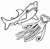 Printable Sharks Coloring Popular sketch template