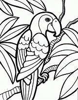 Coloring Bird Pages Print Sites sketch template
