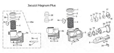 easily identify jacuzzi magnum force pump parts  detailed diagram