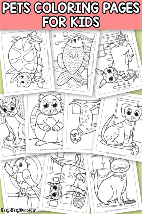 pets coloring pages  kids itsy bitsy fun
