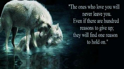 loyalty lone wolf quotes wolf pack quotes wolf love