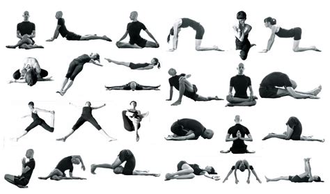 yin yoga liina yoga