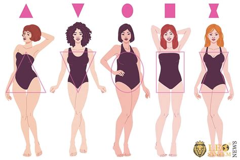 female body types  basic forms leosystemnews