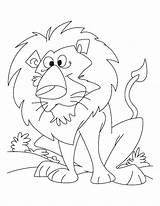 Lion Coloring Pages Lioness Angry Mouse Mountain Drawing Tiger King Printable Daniel Getdrawings Cub Color Getcolorings Kids Colorings sketch template