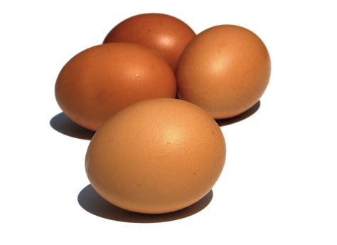 cocina segura  sustitutos  los huevos