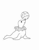 Seal Sammy Circus sketch template