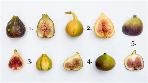 Five Figs Friday Exploring Varieties Joy Us Garden