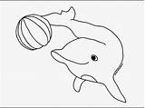 Dolphin Coloring Pages Color Printable Dolphins Print Template Cute Colour Kids Animals Drawing Book Ball Sheets Jump Delfin Water Draw sketch template
