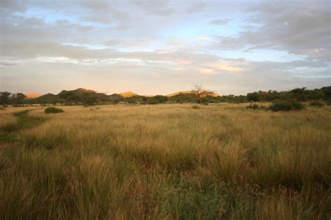 ankawini safari ranch  internet access  grill updated  tripadvisor windhoek