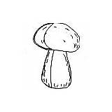 Fungi Coloring Pages Plants sketch template