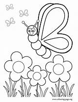 Coloring Garden Flower Pages Print Color Kids sketch template