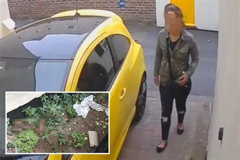 woman caught on cctv doing a poo on driveway in broad daylight the