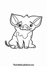 Coloring Pages Pig Moana Pua Printable Print Template Alpha Color Getcolorings Getdrawings sketch template