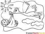Storch Malen Malvorlage Stork Bemalen Vorlage Kinderbilder Ausmalbilder Malvorlagan Bodys Malvorlagenkostenlos sketch template