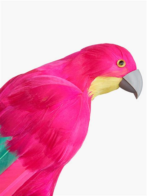 john lewis cm parrot decoration pink