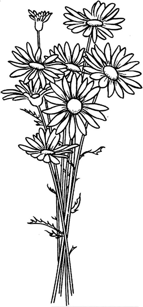daisy flower arrangement coloring page  print