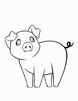 Pig Baby Cute Pages Coloring Getcolorings sketch template
