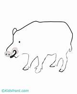 Boar Coloring Pages Kids sketch template