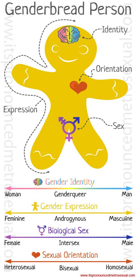 Genderbread Person Gender Identity Graphic