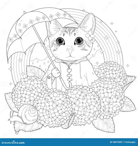 adorable kitty coloring page royalty  stock photography cartoondealercom