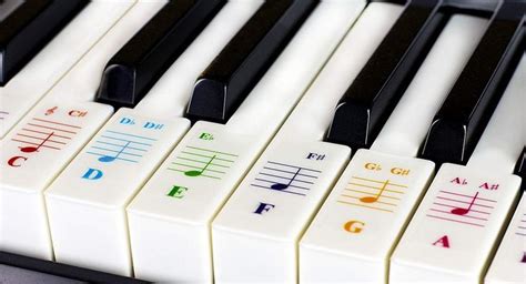 labeling  piano keys   super helpful  beginner adults