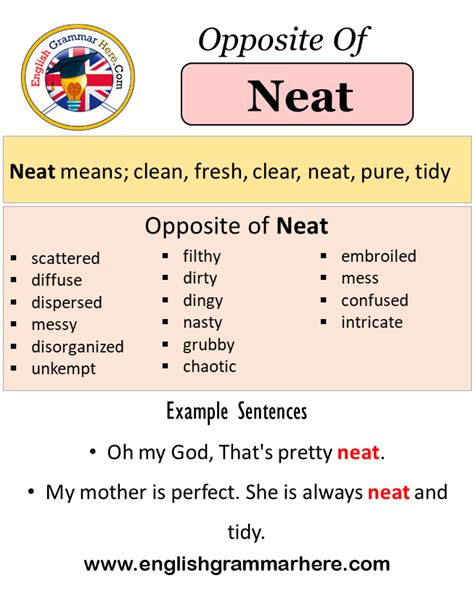 neat antonyms  neat meaning   sentences