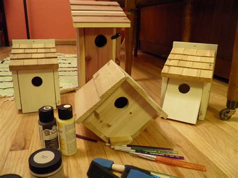 bluebird house kits birdhouse patterns  kids building  bird house yellow finch bird house
