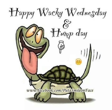 happy hump day funny quotes quotesgram