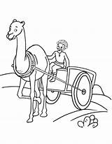 Cart Camel Coloring Villager Pages sketch template