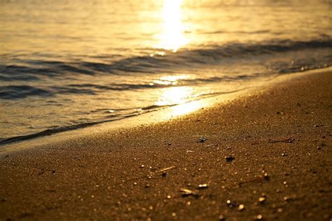 free photo sandy beach at sunset