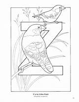 Alphabet Kids Coloring Bird Drawing Getdrawings Pages Printable sketch template