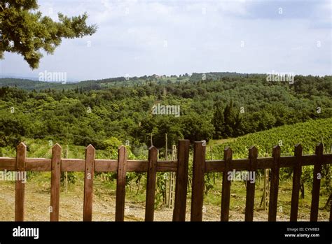 Hilltop Towns Villages Ancient Roman Remains Agriculture Wine Growing