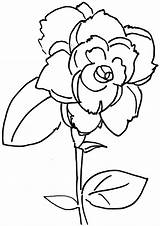 Rose Coloring Flower Pages Bud Drawing Color Roses Getdrawings Getcolorings sketch template