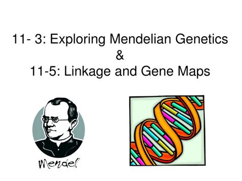 Ppt 11 3 Exploring Mendelian Genetics And 11 5 Linkage And Gene Maps