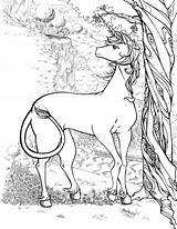 Unicorn Coloring Pages Realistic Adults Print Kids Color Unicorns Forest Middle Rocks sketch template