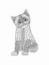 Pages Coloring Zentangle Kitten Adults Printable Adult Bright Teens Colors Favorite Choose Color sketch template
