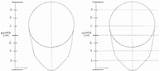 Proportions sketch template
