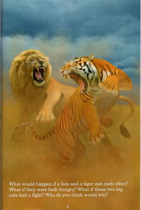 Lion Vs Tiger Who Would Win