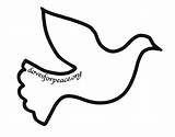 Dove Outline Peace Clipart Descending Template Printable Stencil Drawing Doves Clip Pattern Christmas Print Patterns Flying Sketch Religious Templates Large sketch template