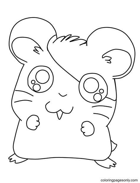 hamster coloring pages  printable coloring pages