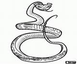 Kungfu Coloring Viper Snake Master sketch template