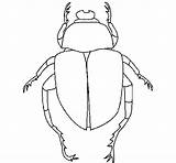 Beetle Coloring Coloringcrew sketch template