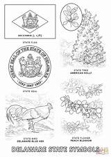 Delaware State Coloring Symbols Pages Printable Flower Supercoloring sketch template