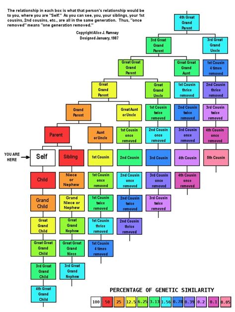 cousin relationship chart digging  ancestors