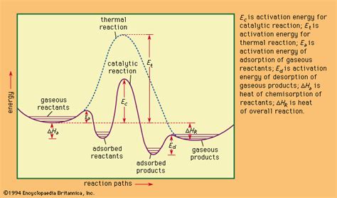 heat of reaction definition and facts britannica
