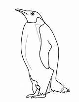 Pingwin Pinguin Kolorowanka Ausmalbilder Kolorowanki Cesarski Pingvin Tegninger Kleurplaat Kleurplaten Pingwiny Penguins Pinguine Supercoloring Colorat Druku Dzieci Pingviner Ausmalbild Tallennettu sketch template