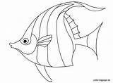 Fish Coloring Pages Cartoon Getcolorings sketch template